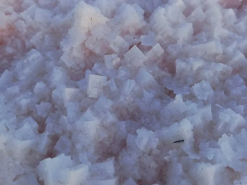 Cube-shaped salt crystals on the bottom of a dried salt lake