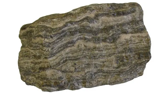 A piece of gneiss with wavy light and dark stripes