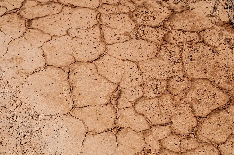 Dry soil cracked into many flat plates