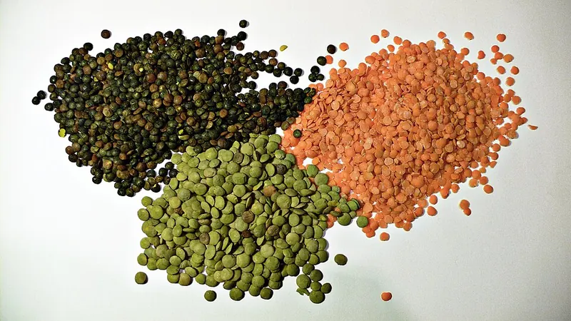Piles of black, green and red lentils