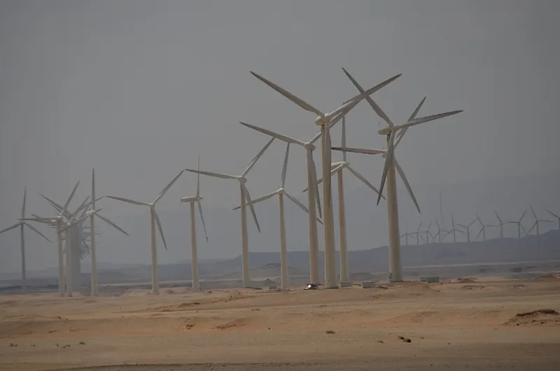Rows of wind turbines in a desert near the Red Sea coast