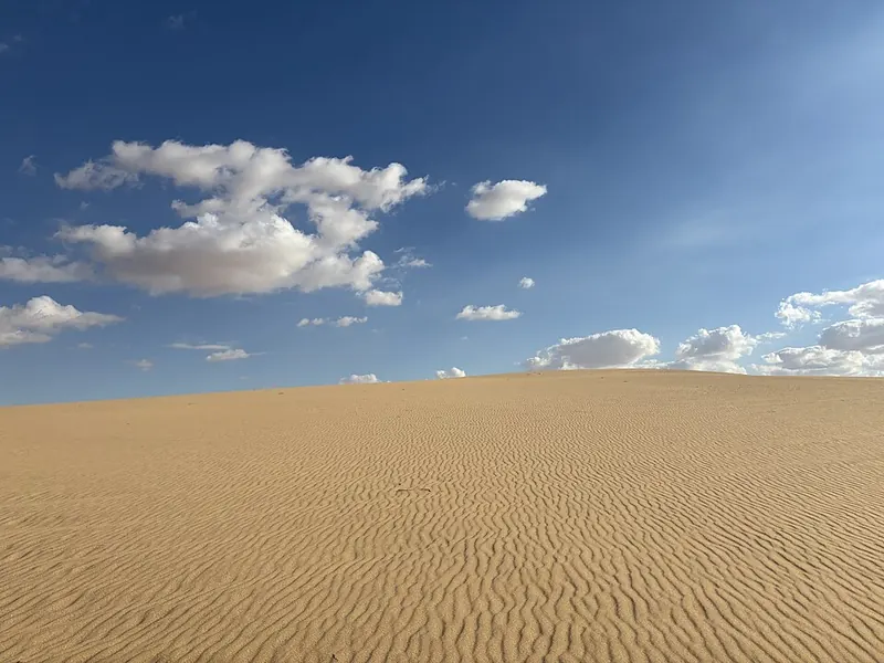 Rippled sand dunes under a blue sky in the Great Sand Sea, Egypt