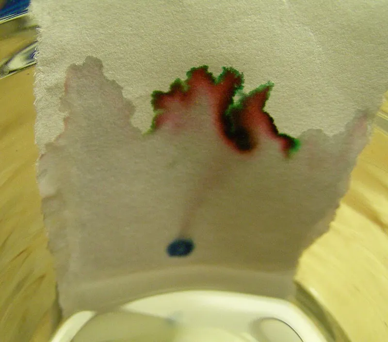 Paper chromatography of black ink showing red and green bands
