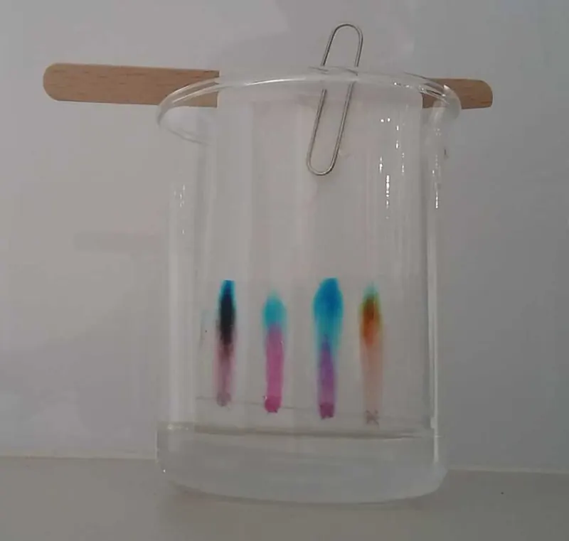 Four felt-tip ink samples separating on paper hanging in a beaker of water