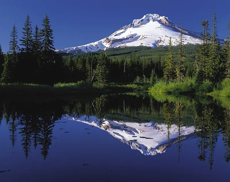 A snowy mountain and forest reflected in a very still lake
